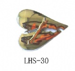 Buckle for fashianal shoes LHS-30